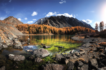 Mountain Lake. / ***