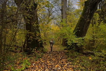 Sonnenaufgang über dem Fluss / ***