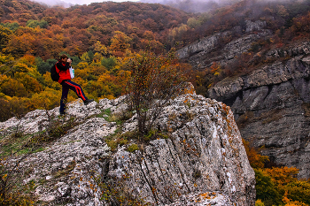 Autumn photographer / ***