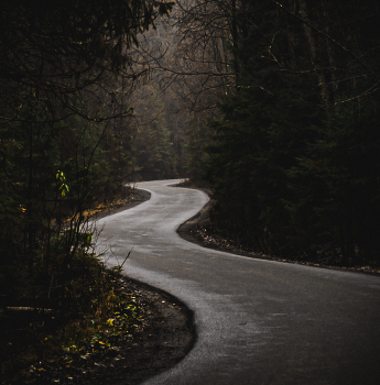 Der Weg in den Wald / ***