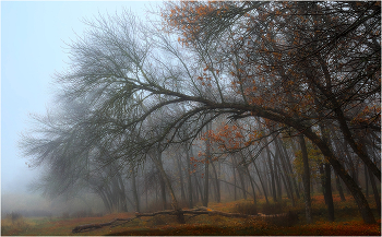 Autumn Romance ... / ***