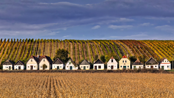 Weinkellergasse / ***