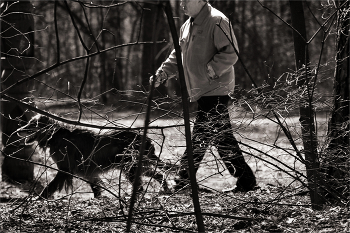 A Tangled Web ... / ***