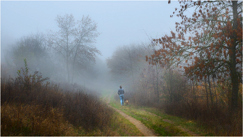 Für einen Spaziergang / ***