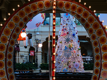 Weihnachtsstimmung / ***