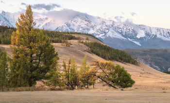 Altai Herbst / ***