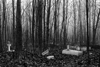 Friedhof der Kuscheltiere / ***