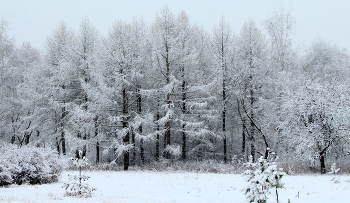 Winterlandschaft / ***