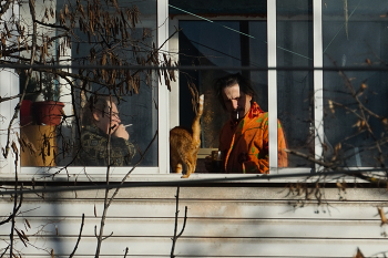 Kaffee am Morgen / ***