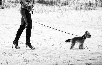 Der erste Schnee ... / ***