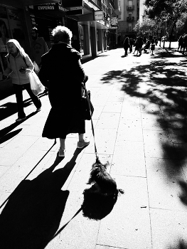 Dame mit dem Hündchen / ***