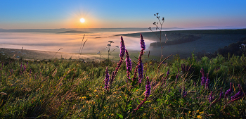 Morgendämmerung / ***