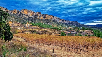 La Morera de Montsant - vinyes a la tardor - Priorat / La Morera de Montsant - vinyes a la tardor - Priorat