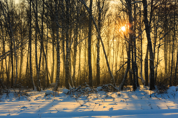 Frostiger Sonnenuntergang / ***