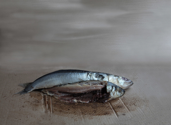 drei Schwestern / ***