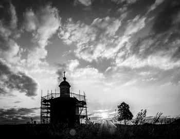 Sunrise in the forest / ***