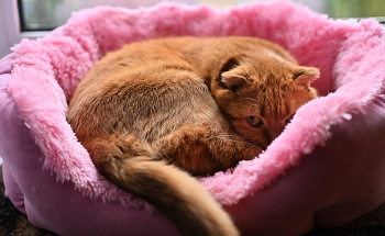 Meine ziemlich / ***