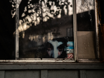 Blick aus dem Fenster / ......