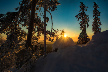 the morning sun / ***