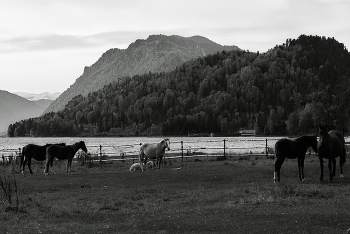 Frühlingsabend. / ***