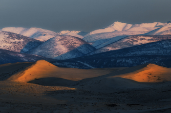 while long shadows / ***