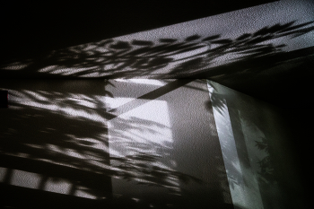 Shadows on the sand / ......