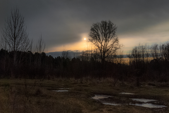 Novembermorgen / ***