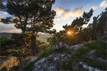 Sonnenuntergang in den Bergen / ***