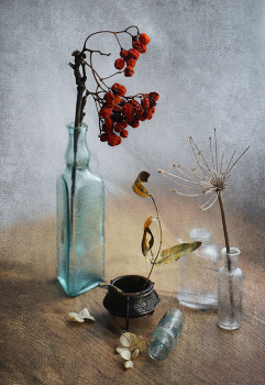 With rowan ... / ***