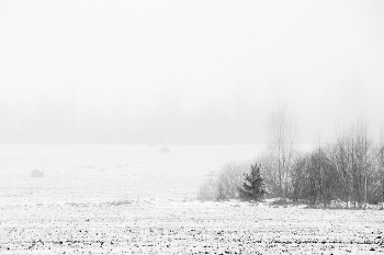 In the high-key / ***