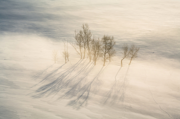 "Winter Mist" / ***