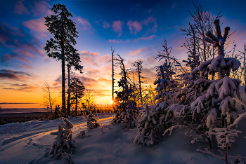 Sunrise over the river / ***