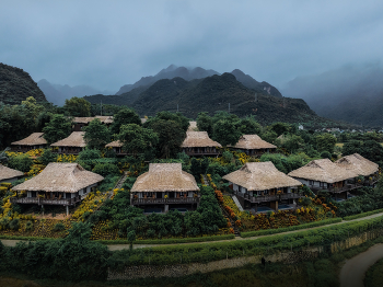 Nebliger Morgen / ***