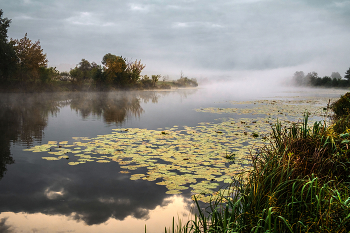 Mainly Cloudy. / ***