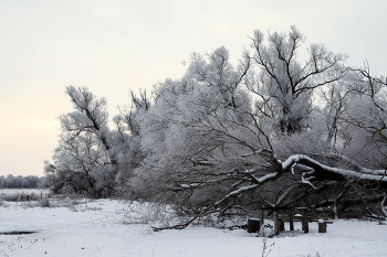 Bewölkter Morgen. / ***