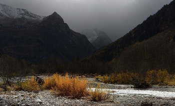 In den goldenen Herbst / ***