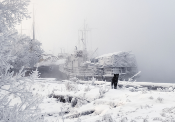 Winter-Parkplätze / ***