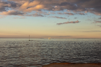 In das weite Meer / ***