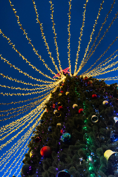 Ferien kommt zu uns / ***