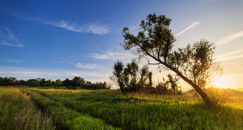 Unter dem blauen Himmel / ***
