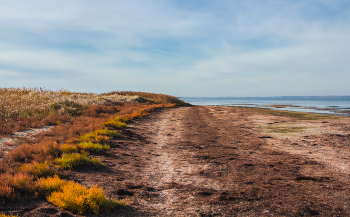 Autumn Gatchina / ***