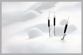 Drei Kameraden / ***