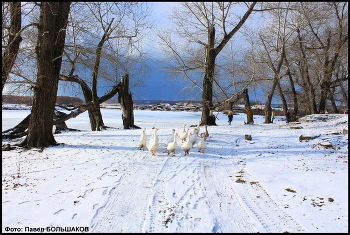 Wir lebten an der Oma ... / ***
