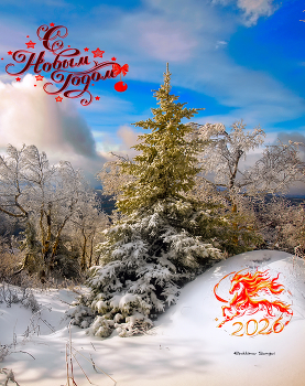 Happy New Year! / ***