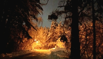 Frohes Neues Jahr! / ***