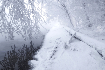 In der frostigen Nebel / ***