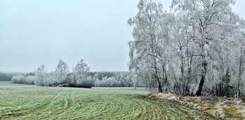 Beginn des Winters. / ***