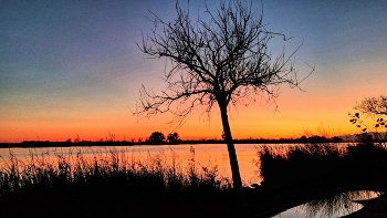 Deltebre - capvespre al riu Ebre - Baix Ebre / Deltebre - capvespre al riu Ebre - Baix Ebre