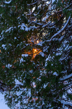 Sonnenuntergang / ***