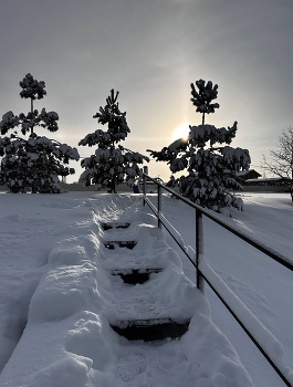 Herbst Morgendämmerung / ***